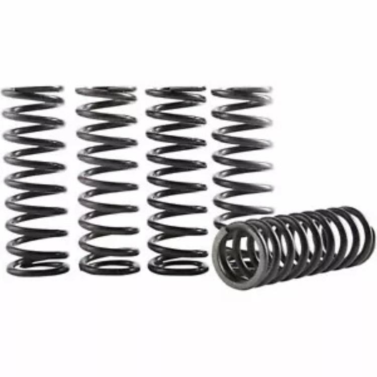 ヒンソン クラッチスプリングキット CS069-5-001 HINSON CLUTCH SPRING KIT CS069-5-001 【並行輸入品】 42,185円