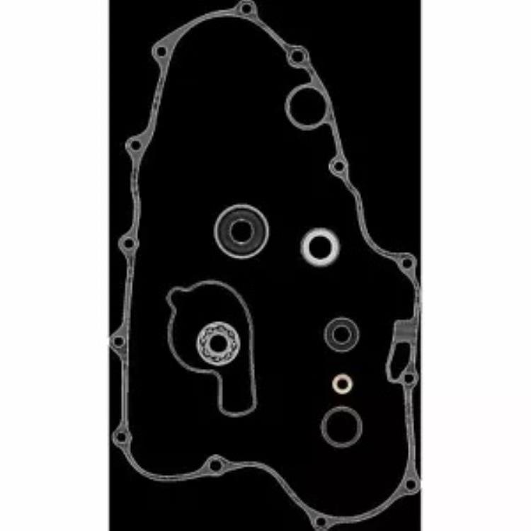 プロックス ウォーターポンプキット LT-R450 '06-09 57.3426 PROX WATER PUMP KIT LT-R450 '06-09 57.3426 【並行輸入品】
