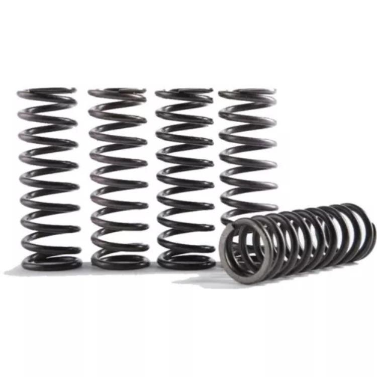 Hinson ハイテンプ クラッチ スプリング キット CS373-1-0116 Hinson High Temp Clutch Spring Kit CS373-1-0116 【並行輸入品】