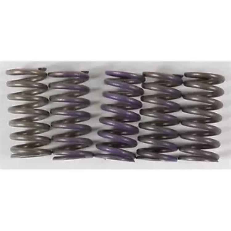 HINSON ハイテンプスプリング 5 スプリング CS341-5-0311 HINSON High Temp Springs 5 Springs CS341-5-0311 【並行輸入品】
