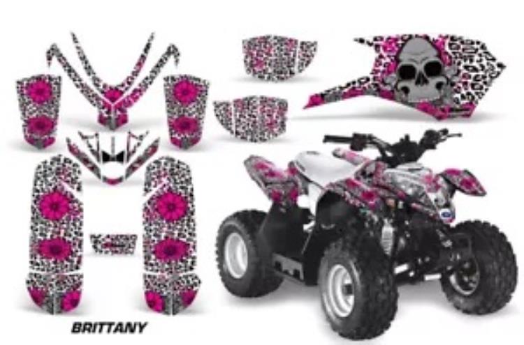 ATV グラフィック デカール ステッカー ポラリス アウトロー/プレデター 50 オールイヤーズ ブルターニュ用 ATV Graphics Decals Stickers For Polaris Outlaw/Predator 50 ALL YEARS BRITTANY 【並行輸入品】