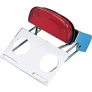 Drag Specialty カスタム テールライト/クローム ブラケット アセンブリ #DS-272026 Drag Specialties Custom Taillight/Chrome Bracket Assembly #DS-272026 【並行輸入品】