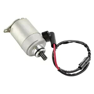 スターターモーター イオンコブラ 125 180 ユーティリティ & RS / オーバーランド 125 180 ATV クワッド S2 用 STARTER MOTOR FOR AEON COBRA 125 180 UTILITY & RS / OVERLAND 125 180 ATV QUAD S2 【並行輸入品】
