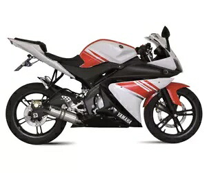 フルシステムエキゾーストストーム GP ST.STEEL カーボンキャップ ヤマハ YZF R125 2008 - 2013用 Full System Exhaust Storm GP ST.STEEL carbon cap for YAMAHA YZF R125 2008 - 2013 【並行輸入品】|カスタムパーツ WORLD倉庫
