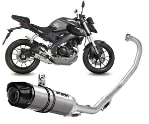 フルシステムエキゾーストストーム GP ST.STEEL カーボンキャップ ヤマハ MT-125 2015 - 2019用 Full System Exhaust Storm GP ST.STEEL carbon cap for YAMAHA MT-125 2015 - 2019 【並行輸入品】