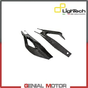 LIGHTECH カーボン スイングアーム プロテクター BMW S 1000 RR 2019 - 2020 LIGHTECH Carbon Swingarm Protectors Bmw S 1000 RR 2019 - 2020 【並行輸入品】