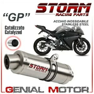 Mivv GP ステンレススチールによる触媒フルシステムストーム ヤマハ Yzf R125 2014 2016 Catalyzed Full System Storm by Mivv Gp Stainless Steel Yamaha Yzf R125 2014 2016 【並行輸入品】