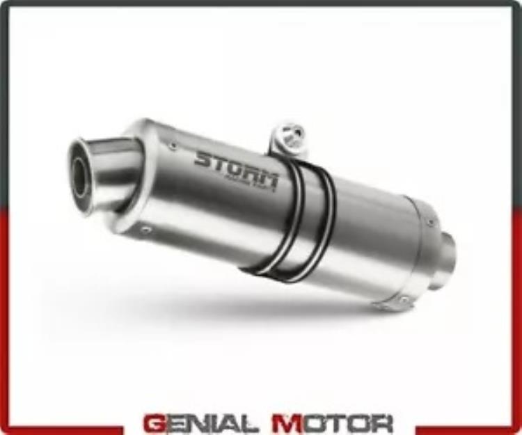 Mivv マフラー GP スチール製排気ストーム ヤマハ TDM 900 2002 - 2014用 Exhaust Storm by Mivv Mufflers Gp Steel for Yamaha Tdm 900 2002 - 2014 【並行輸入品】