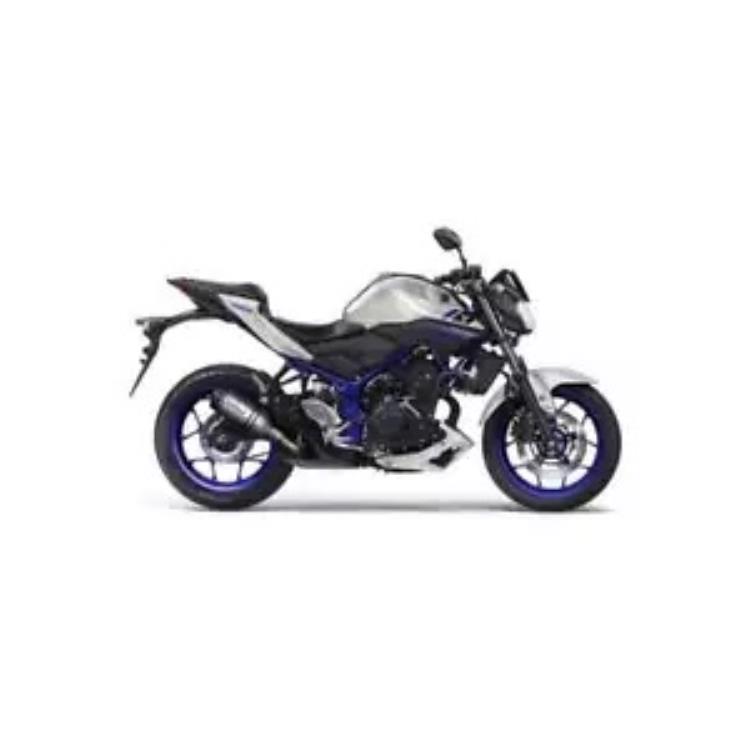 排気 Leovince Lv Pro ステンレススチール ヤマハ Mt 25 2015 - 2020 Exhaust Leovince Lv Pro Stainless Steel Yamaha Mt 25 2015 - 2020 【並行輸入品】