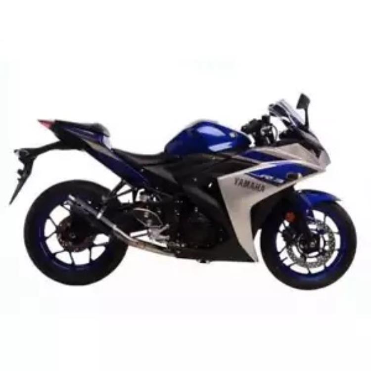 コンプリートエキゾーストシステム Leovince Gp Corsa カーボンファイバー Yamaha Yzf R3 2018 - 2020 Complete Exhaust System Leovince Gp Corsa Carbon Fiber Yamaha Yzf R3 2018 - 2020 【並行輸入品】