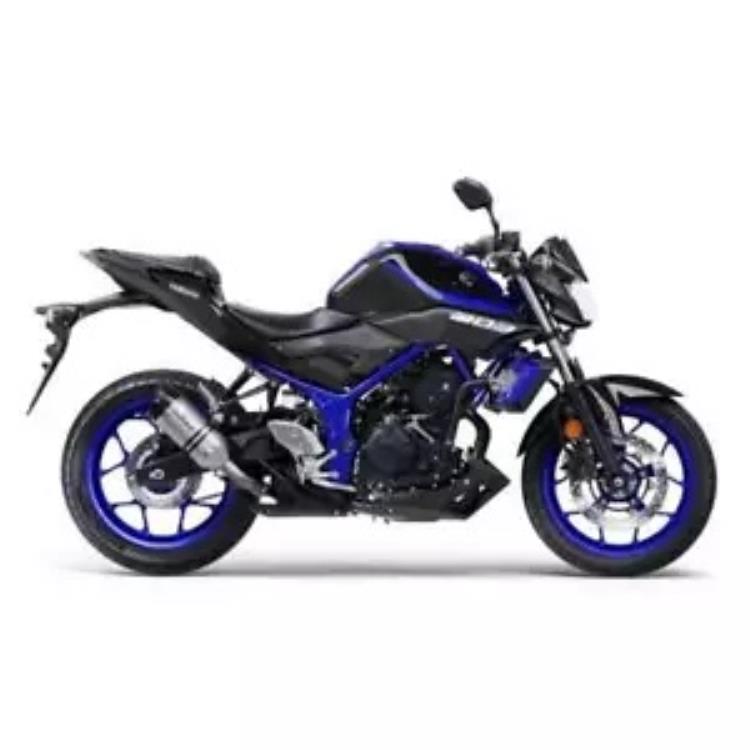 排気 Leovince Lv Pro ステンレススチール ヤマハ Mt 03 2018 - 2020 Exhaust Leovince Lv Pro Stainless Steel Yamaha Mt 03 2018 - 2020 【並行輸入品】
