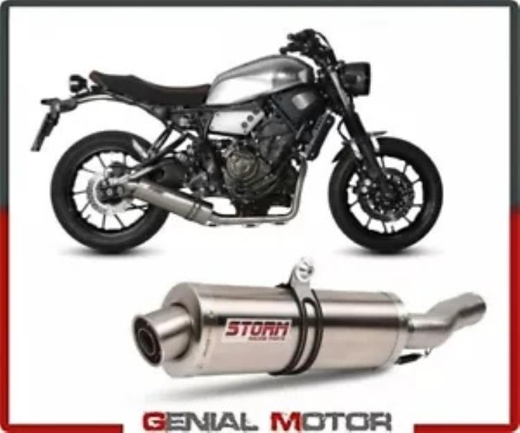 フルシステム ストーム by Mivv マフラー オーバル スチール コンプリート ヤマハ XSR 700 2016 - 2018 Full System Storm by Mivv Muffler Oval Steel Complete Yamaha Xsr 700 2016 - 2018 【並行輸入品】 102,245円