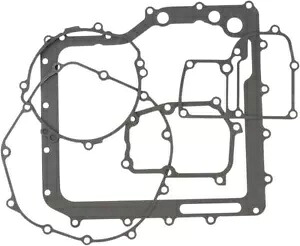 Cometic AFM エンジン ケース ガスケット キット (C8713) Cometic AFM Engine Case Gasket Kit (C8713) 【並行輸入品】
