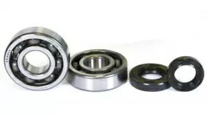 Pro-X クランクシャフト ベアリング & シール キット (23.CBS42092) Pro-X Crankshaft Bearings & Seal Kit (23.CBS42092) 【並行輸入品】
