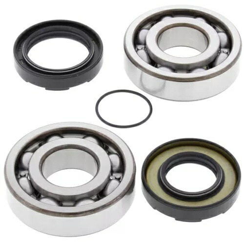 オールボール クランクシャフト ベアリング & シール キット (24-1066) All Balls Crankshaft Bearing & Seal Kit (24-1066) 【並行輸入品】