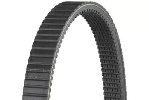 Dayco HP アウトドア アクティビティ ドライブ ベルト #HP2004 ポラリス Dayco HP Outdoor Activity Drive Belt #HP2004 Polaris 【並行輸入品】