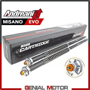 2018 アンドレアニ アインステルバ 15 ミサノ エボ 油圧カートリッジ ドゥカティ スクランブラー- 2018 Andreani Einstelba 15 Misano Evo Hydraulic Cartridge Ducati Scrambler- 【並行輸入品】