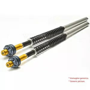 アンドレアニ M フォーク カートリッジ 昭和 BPF 41 トライアンフ ストリート トリプル 765 RS 2017 - 2023 Andreani M fork cartridges Showa BPF 41 Triumph Street Triple 765 RS 2017 - 2023 【並行輸入品】