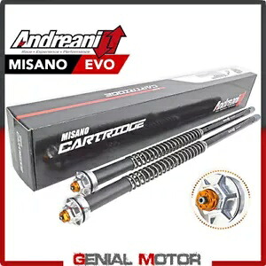 アンドレアニ 調整可能カートリッジ ミサノ ハーレーダビッドソン FLH/FLT ロード Ki 2014 2023- Andreani Adjustable Cartridge Misano Harley Davidson FLH/FLT Road Ki 2014 2023- 【並行輸入品】