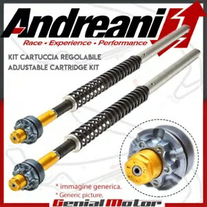 アンドレアニ 調整不可カートリッジ ハーレーダビッドソン FLH / FLT ツーリング 2015 15- Andreani Non-Adjustable Cartridge Harley Davidson FLH / FLT Touring 2015 15- 【並行輸入品】