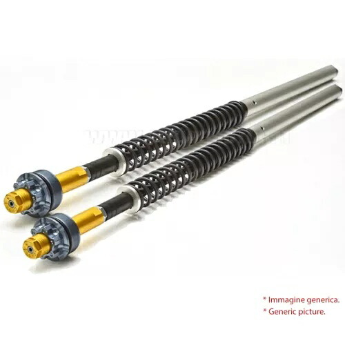 アンドレアニ 調整可能カートリッジ ハーレー スポーツスター XLH std/883/R/1200R 2002 - 2005- Andreani Adjustable Cartridge Harley Sportster XLH std/883/R/1200R 2002 - 2005- 【並行輸入品】