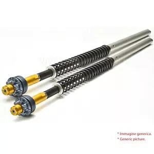 2019 アンドレアニ 調整可能カートリッジ 昭和 49 ハーレーダビッドソン スポーツスター 48- 2019 Andreani Adjustable Cartridge Showa 49 Harley Davidson Sportster 48- 【並行輸入品】