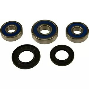 オールボール リアホイールベアリングキット 25-1358 All Balls Rear Wheel Bearing Kit 25-1358 【並行輸入品】