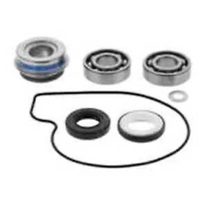 Quadboss ウォーターポンプ再構築キット - Arctic Cat Wildcat 821220 Quadboss Water Pump Rebuild Kit - Arctic Cat Wildcat 821220 【並行輸入品】