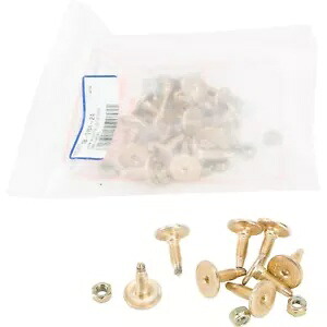 Woodys ゴールド ディガー カーバイド トラクション マスター スタッド 0.75 インチ - 24/パック GDP6-7500 Woodys Gold Digger Carbide Traction Master Stud .75\