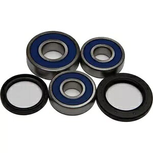 オールボール リアホイールベアリングキット 25-1360 All Balls Rear Wheel Bearing Kit 25-1360 【並行輸入品】