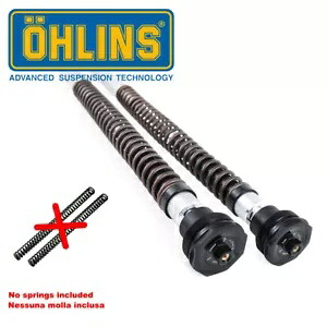 トライアンフ スラクストン 900 2008 2015 オーリンズ カートリッジ キット Nix 22 Fks 208 Triumph Thruxton 900 2008 2015 Ohlins Cartridge Kit Nix 22 Fks 208 【並行輸入品】