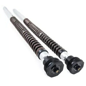 ハーレーダビッドソン ダイナ ワイド グライド fxdwg 2009 オーリンズ カートリッジ キット nix 22 hd fks205 Harley davidson dyna wide glide fxdwg 2009 ohlins cartridge kit nix 22 hd fks205 【並行輸入品】|カスタムパーツ WORLD倉庫