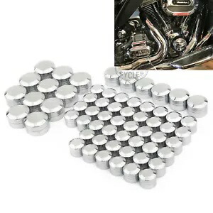 61 個エンジントッパーボルトスクリューキャップカバーハーレーツインカムツーリング FLH 99-06 61PCS Engine Topper Bolt Screw Caps Covers For Harley Twin Cam Touring FLH 99-06 【並行輸入品】 38,610円