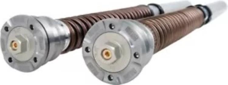 楽天市場】OHLINS / オーリンズ フロントフォーク FGK 202 30mm