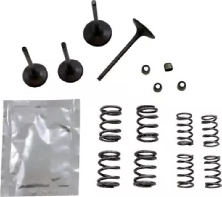 Wiseco インテーク＆エキゾーストバルブ＆スプリングキット (SVKB4406) Wiseco Intake & Exhaust Valve & Spring Kit (SVKB4406) 【並行輸入品】