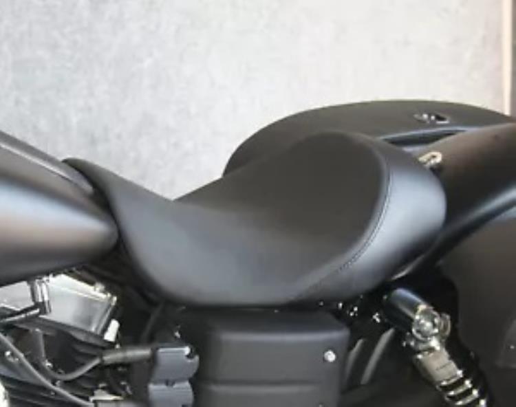 ダニー・グレイ ビッグシート ソロ BR (20-318) Danny Gray Bigseat Solo BR (20-318) 【並行輸入品】