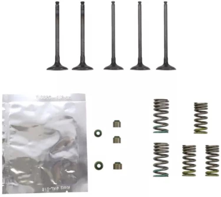 Wiseco インテーク＆エキゾーストバルブ＆スプリングキット (SVKB2402) Wiseco Intake & Exhaust Valve & Spring Kit (SVKB2402) 【並行輸入品】