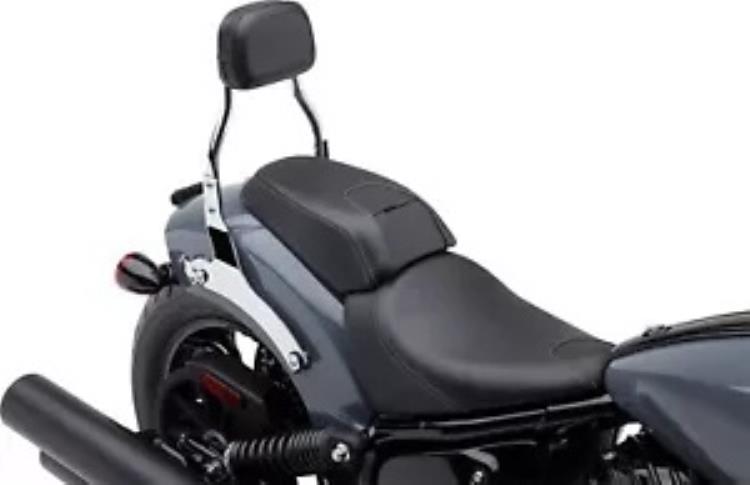 コブラ ミニ クローム 取り外し可能バックレスト (502-2012) Cobra Mini Chrome Detachable Backrest (502-2012) 【並行輸入品】 81,070円