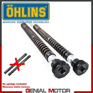 オーリンズ カートリッジキット NIX 30 ホンダ Crf l2 Africa Twin Adv Spo 2018 - 2019 FKA 111 Ohlins Cartridge Kit NIX 30 Honda Crf l2 Africa Twin Adv Spo 2018 - 2019 FKA 111 【並行輸入品】|カスタムパーツ WORLD倉庫