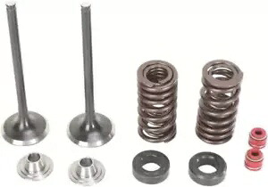 Moose 排気バルブ/スプリングキットはホンダ CRF250R 2008-2009 に適合します。 Moose Exhaust Valve/Spring Kit fits Honda CRF250R 2008-2009 【並行輸入品】｜カスタムパーツ WORLD倉庫