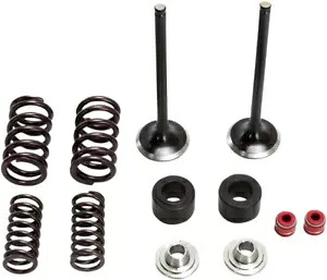 Moose ステンレス鋼排気バルブキット ホンダ CRF250R 2016-2017 Moose Stainless Steel Exhaust Valve Kit Honda CRF250R 2016-2017 【並行輸入品】｜カスタムパーツ WORLD倉庫