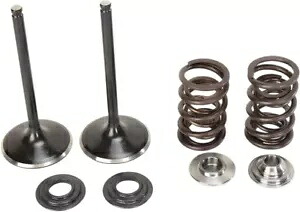 Moose インテークバルブ/スプリングキット スチール スズキ LT-R450 クアッドレーサー 2006-2009 に適合 Moose Intake Valve/Spring Kit Steel fits Suzuki LT-R450 Quad Racer 2006-2009 【並行輸入品】｜カスタムパーツ WORLD倉庫