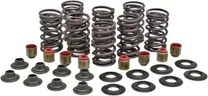 Kibblewhite 軽量レーシング バルブ スプリング キット チタン リテーナー付き 82-82850 Kibblewhite Lightweight Racing Valve Spring Kit with Titanium Retainers 82-82850 【並行輸入品】｜カスタムパーツ WORLD倉庫