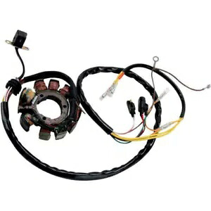 Rick's Motorsports ステーター #21-553 ポラリス Rick's Motorsports Stator #21-553 Polaris 【並行輸入品】|カスタムパーツ WORLD倉庫