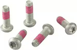 BMW R 1150 R ABS 2002-2006 TRW ブレーキ ディスク ボルト セット MSS113-5 BMW R 1150 R ABS 2002-2006 TRW Brake Disc Bolt Set MSS113-5 【並行輸入品】