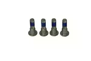 Triumph TT 600 2000-2001 TRW ブレーキ ディスク ボルト セット MSS132-4 Triumph TT 600 2000-2001 TRW Brake Disc Bolt Set MSS132-4 【並行輸入品】