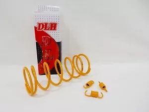 パフォーマンス DLH 1500 RPM トルク & クラッチ スプリング 150cc GY6 スクーター PERFORMANCE DLH 1500 RPM TORQUE & CLUTCH SPRINGS 150cc GY6 SCOOTER 【並行輸入品】