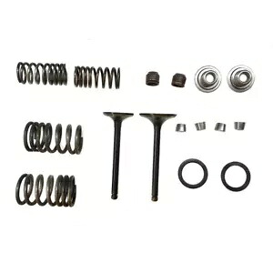 中国ATVS、ホンダクローンモーター搭載ダート/ピットバイク用70ccバルブキット 70cc VALVE KIT FOR CHINESE ATVS, AND DIRT / PIT BIKES WITH HONDA CLONE MOTORS 【並行輸入品】