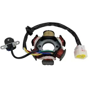 ステーター マグネト 6 コイル / ポール COOLSTER MAX TRADE 125cc ATV *OEM* STATOR MAGNETO 6-COIL / POLE FOR COOLSTER MAX TRADE 125cc ATVS *OEM* 【並行輸入品】
