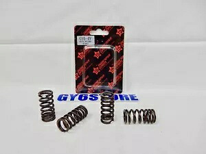 タイダ パフォーマンス 150cc - 232cc GY6 4 バルブ スプリング セット (4V) TAIDA PERFORMANCE 150cc - 232cc GY6 4 VALVE SPRING SET (4V) 【並行輸入品】